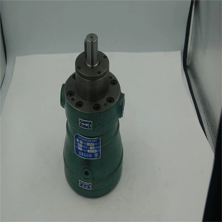 Axial Plunger Pump 10MCY 25MCY 63MCY 80MCY 160MCY 14-1B 10MCY-1Bplunger Pump